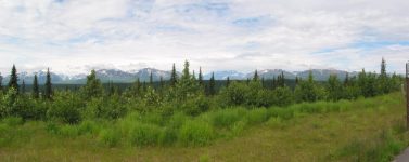 Denali Park