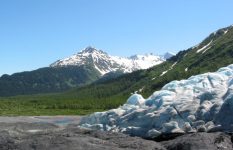 Exit Glacier