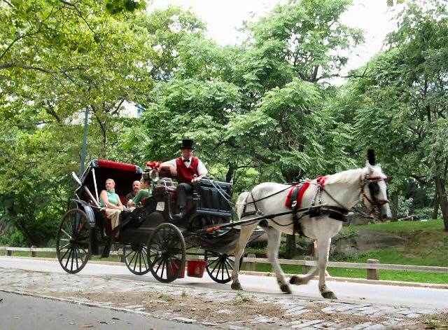 horse drawn carriage in Central Park