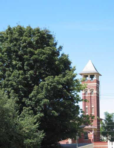 Saxonville Fire Station tower