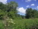 Broad Meadow Brook Sanctuary