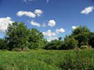 Broad Meadow Brook Sanctuary