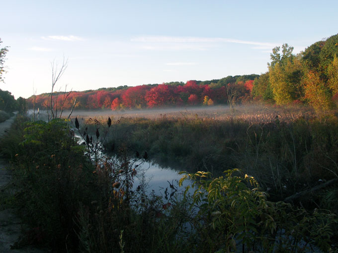 Early morning at Broad Meadow Brook Sanctuary in October