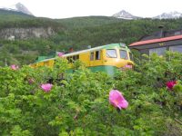 Flowers and a White Pass diesel locomotive in Skagway