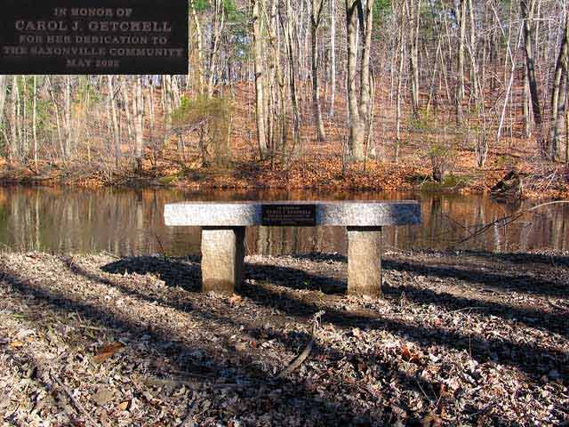 a stone bench along the  Carol J.Getchell Nature Trail in Saxonville